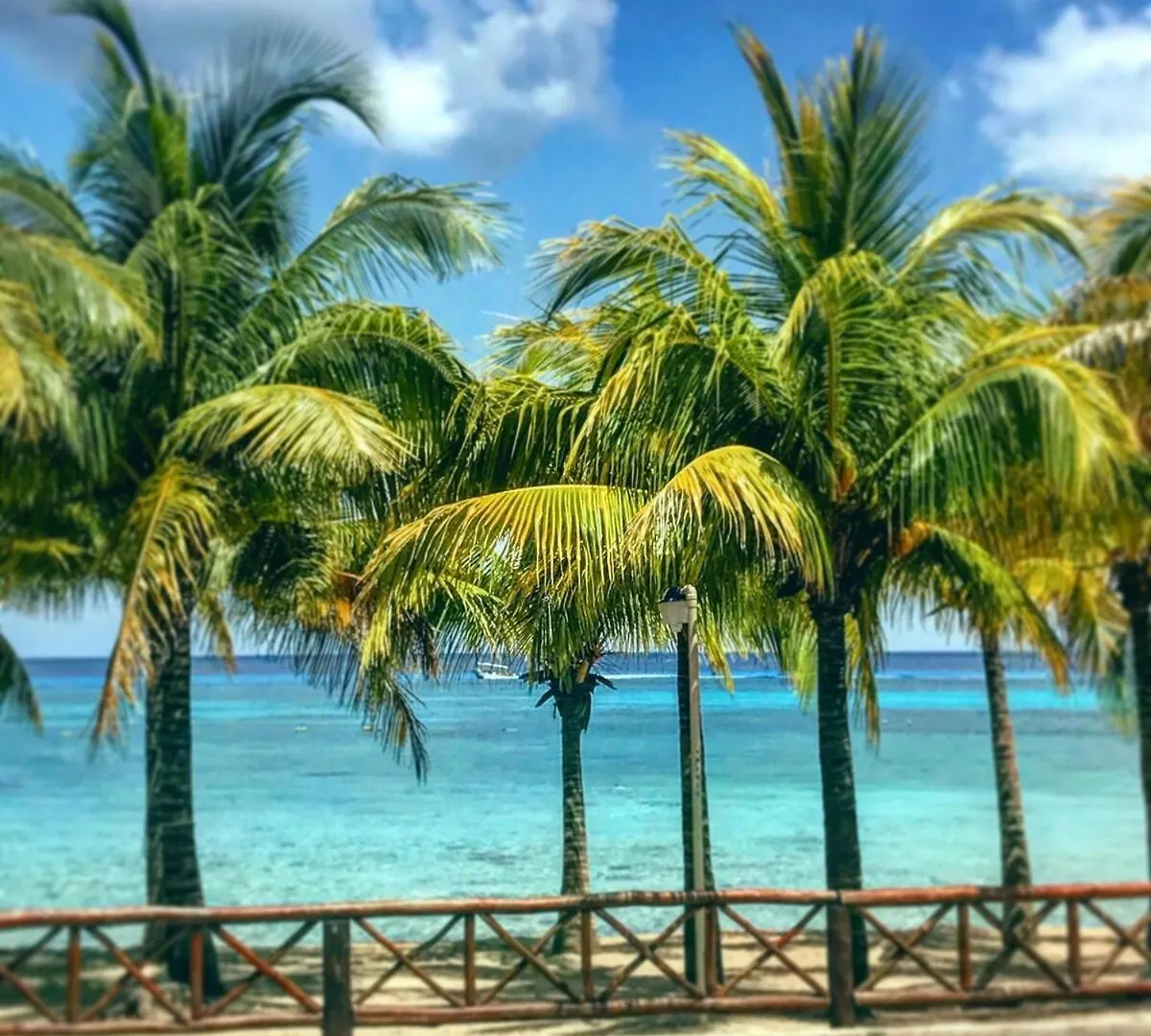 Apartment Affordable Luxury 3Br The Best Cozumel Has To Offer It Is The Landmark